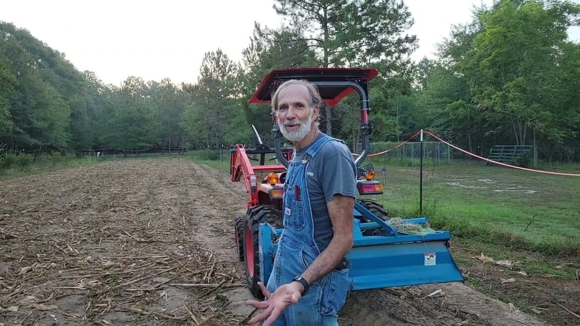 Deer FOUND the Danny CORN Field!