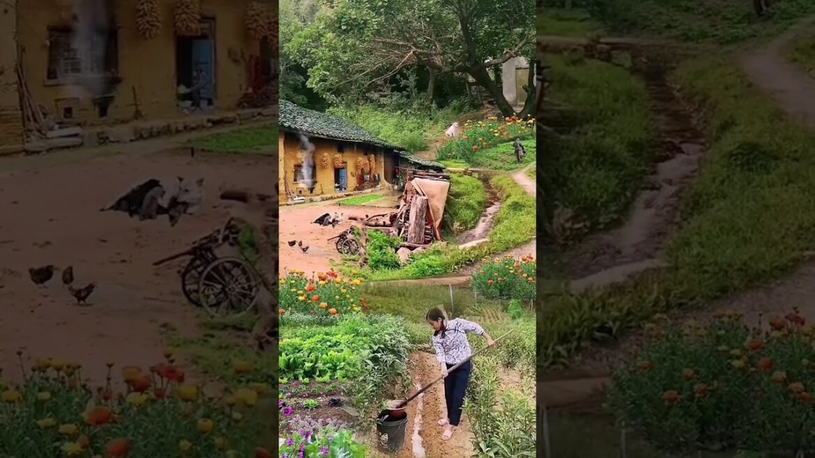 Beautiful Nature Garden Plan Natural life Style Beautiful landscapes Beautiful Nature Garden Plan Natural life Style Beautiful landscapes