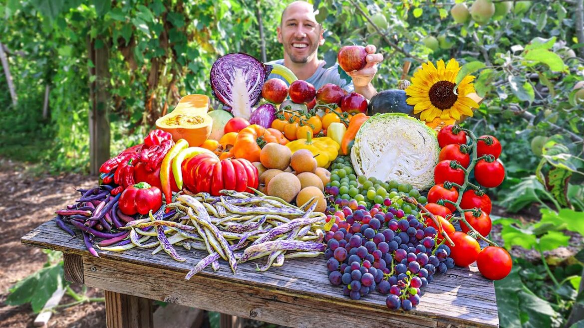 11-Year-Old Food Forest Garden Harvest! 🍎🍐🍇