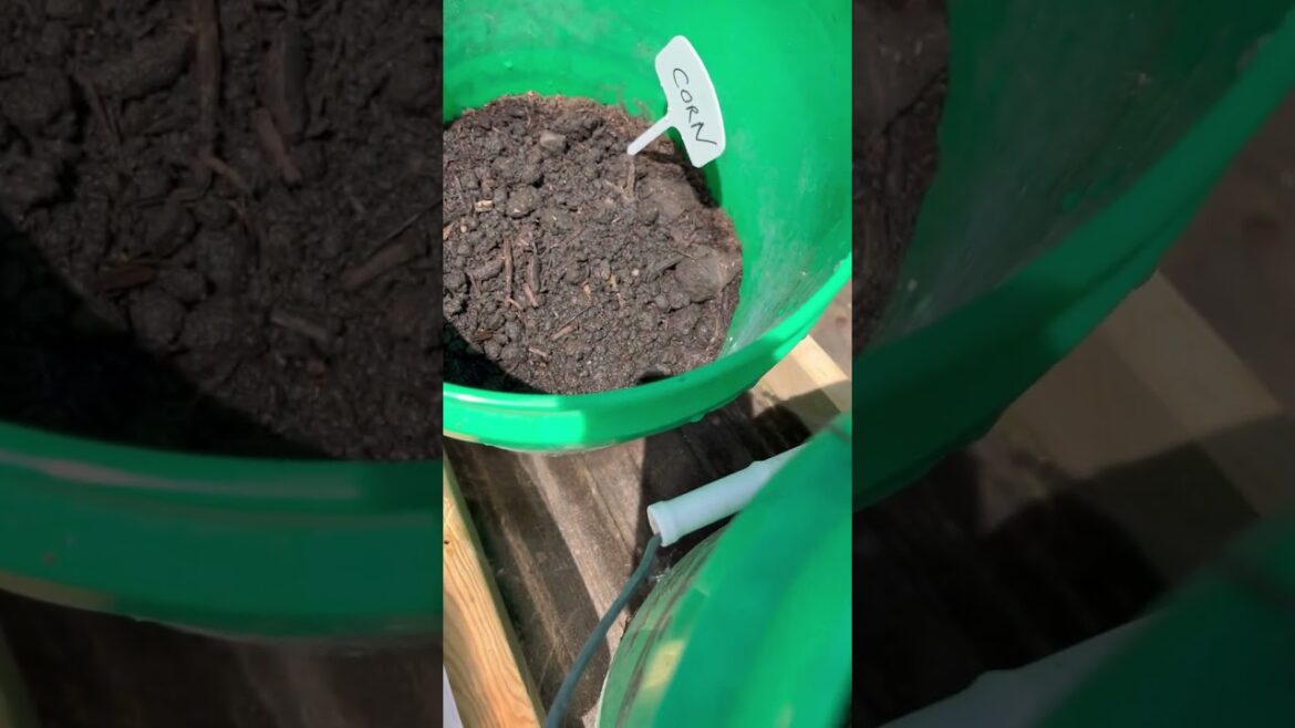 Picnic Table Garden – Container Gardening Picnic Table Garden - Container Gardening