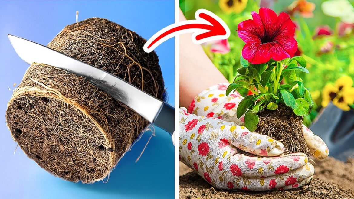 SMART HACKS TO EASILY GROW YOUR OWN PLANTS SMART HACKS TO EASILY GROW YOUR OWN PLANTS