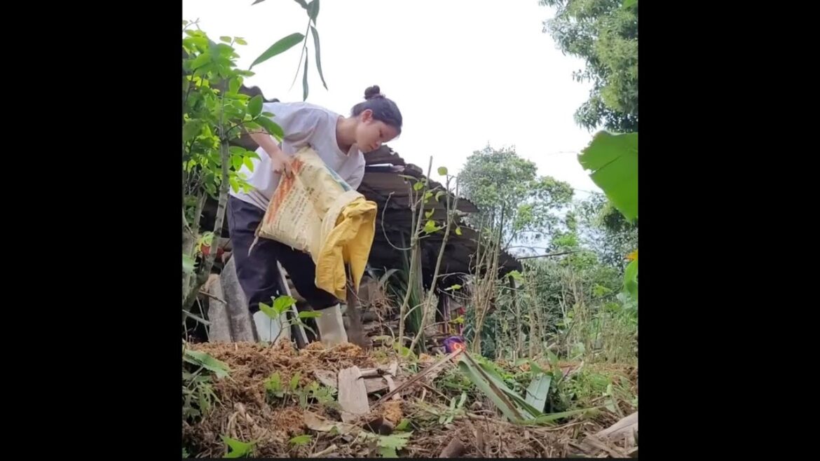 Gardening, growing more vegetables, cooking bamboo shoots for lunch and feeding the children