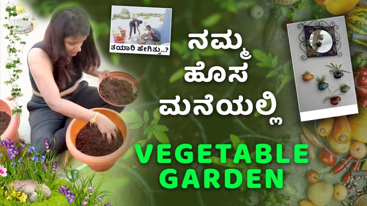 Terrace Gardening Tips and Tricks  | Rapid Rashmi