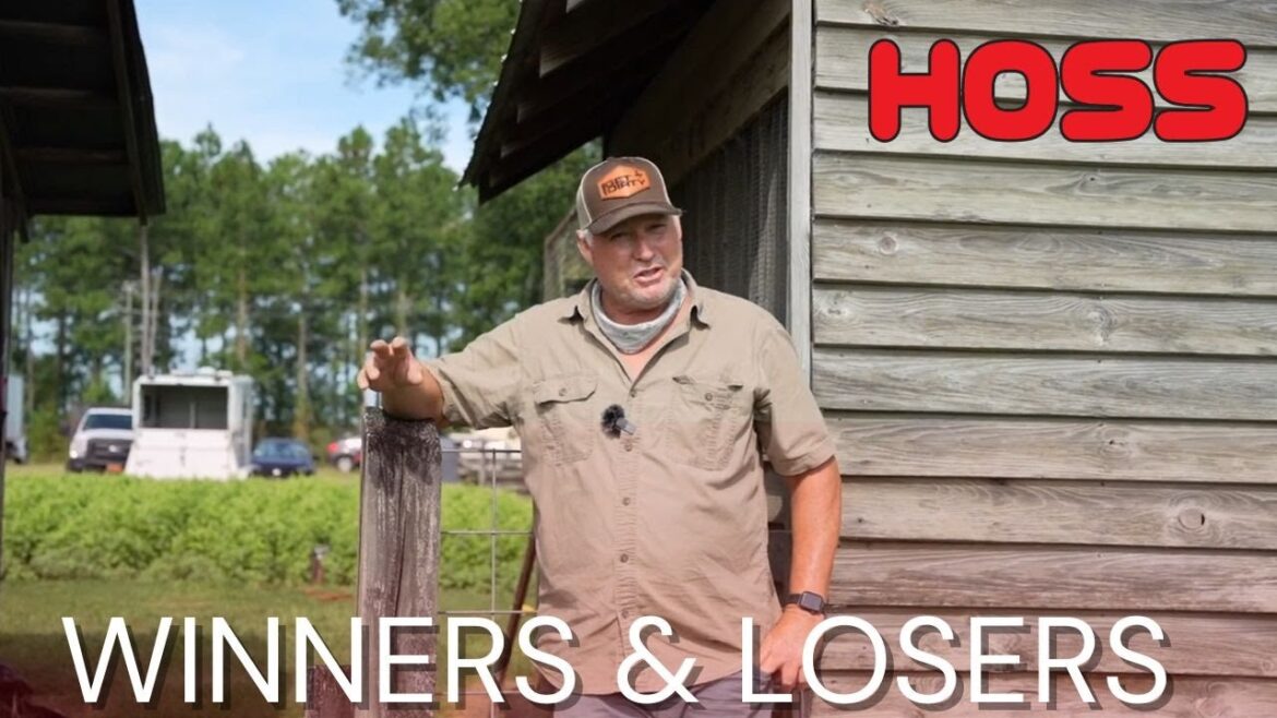 RESET! | AUGUST GARDENING RESET! | AUGUST GARDENING