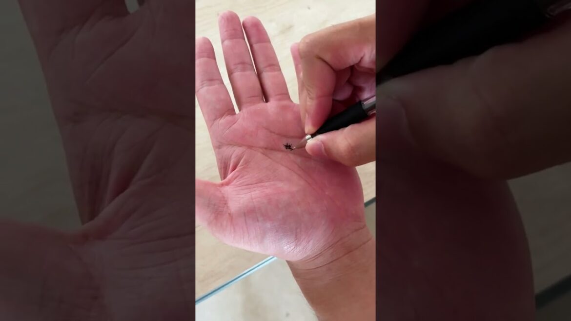 Beautiful Nature Garden Plan Natural life Style Beautiful landscapes