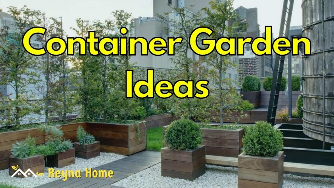 79 Container Garden Ideas Small Garden Landscaping Ideas