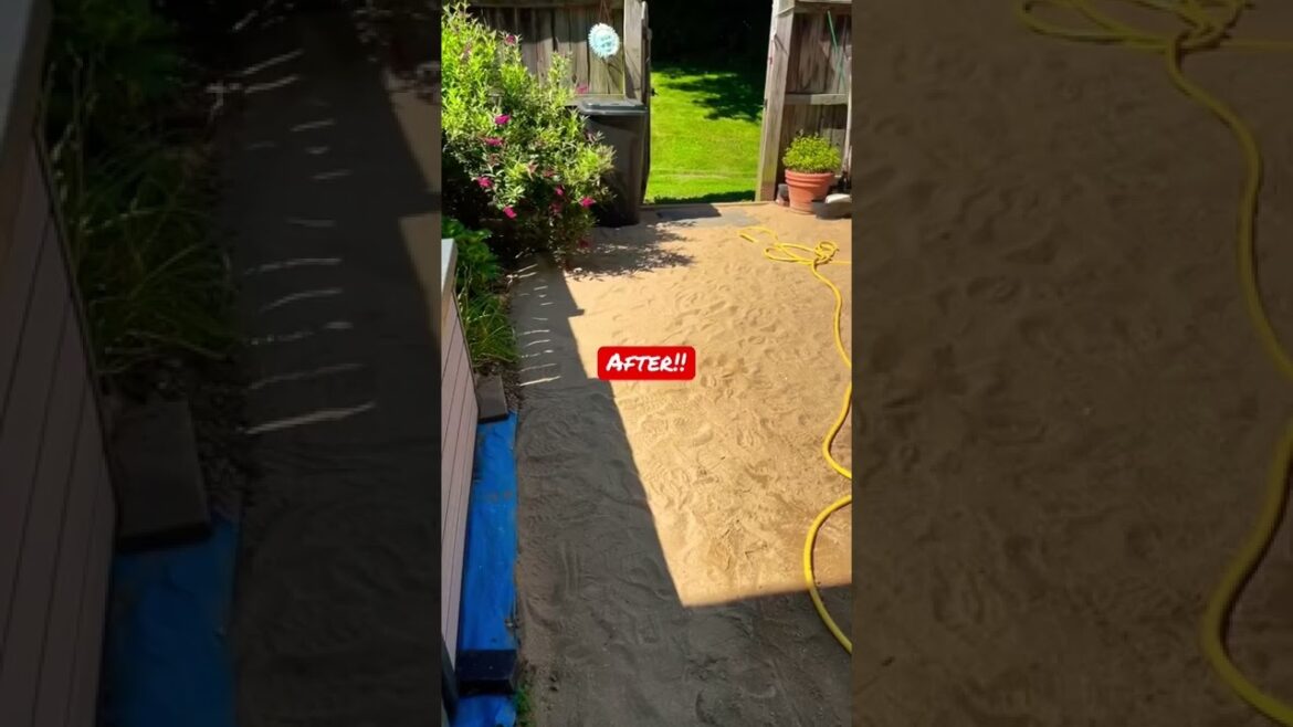 Amazing Transformation 🏖 Backyard to beach🏝