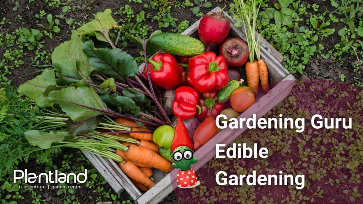 Gardening Guru Edible Gardening