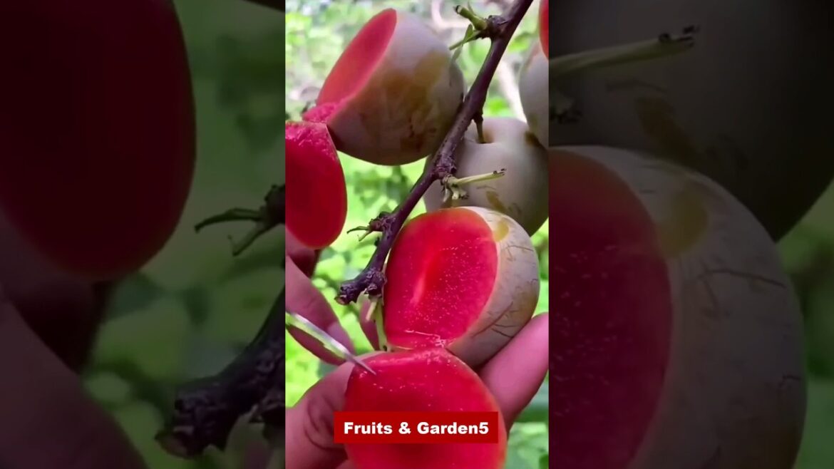 Enjoy beautiful nature with rural Life # 27 #shorts #farming #satisfying #garden Enjoy beautiful nature with rural Life # 27 #shorts #farming #satisfying #garden