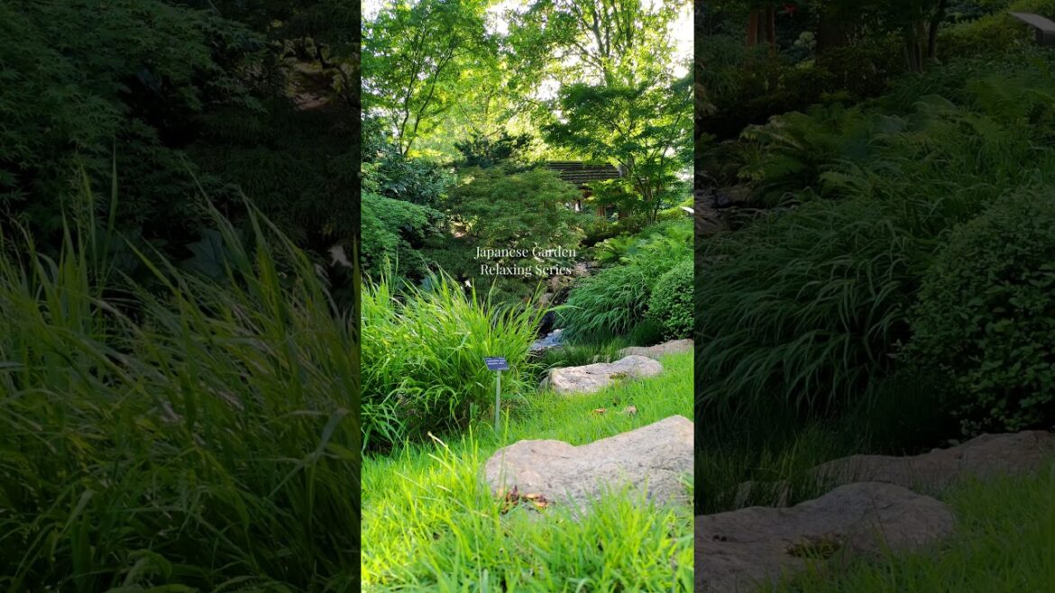 Relaxing Japanese Garden: Teahut by the Stream #natureshorts #relaxation Relaxing Japanese Garden: Teahut by the Stream #natureshorts #relaxation