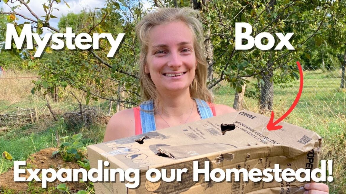 Expanding Our Homestead And New Plans | Doing Some Much Needed Work!