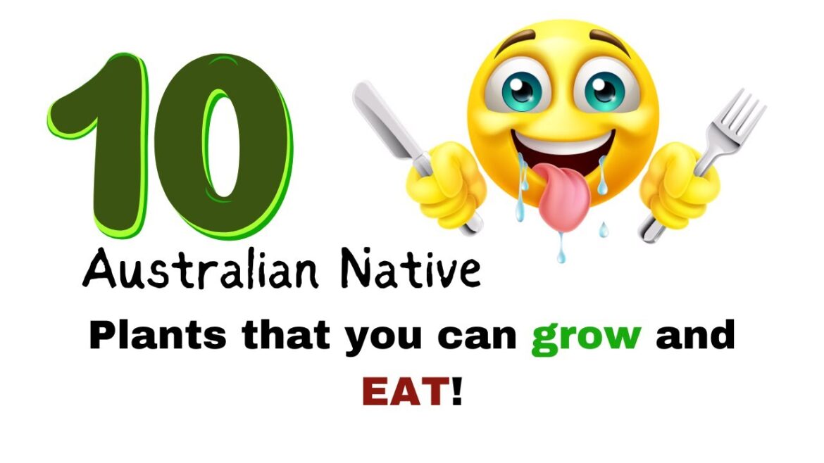 Bush Food Australia - Ten Bush Tucker Plants for your Garden - Edible Garden - Permaculture