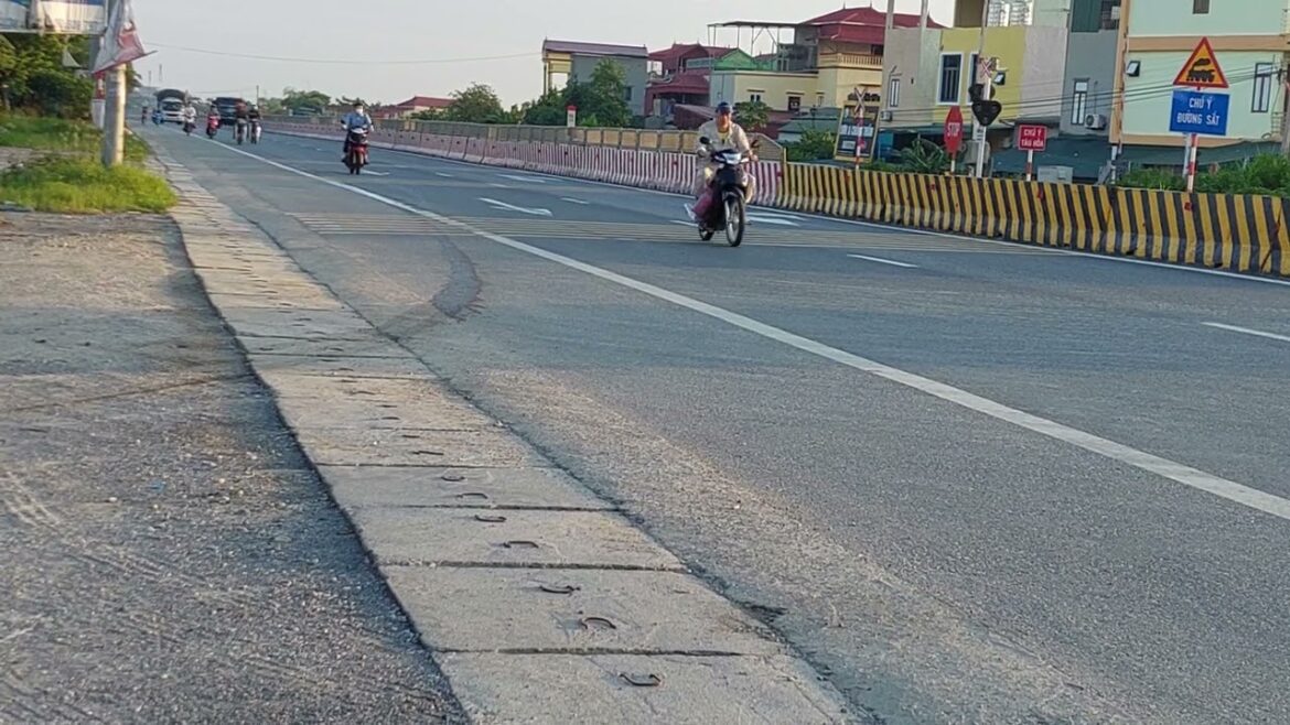 Sunny Day Gardening: Tips for a Vibrant Yard