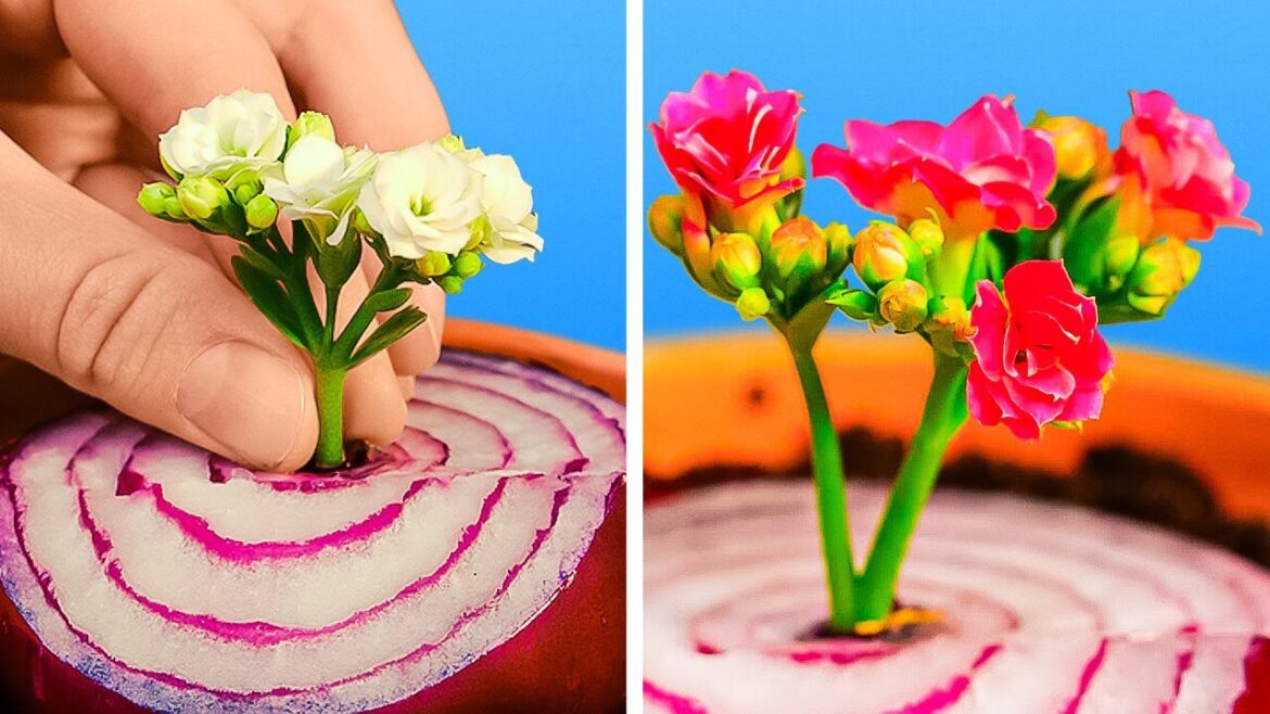 Creative Garden Ideas 🌻 Hacks to Make Your Plants Thrive! Creative Garden Ideas 🌻 Hacks to Make Your Plants Thrive!