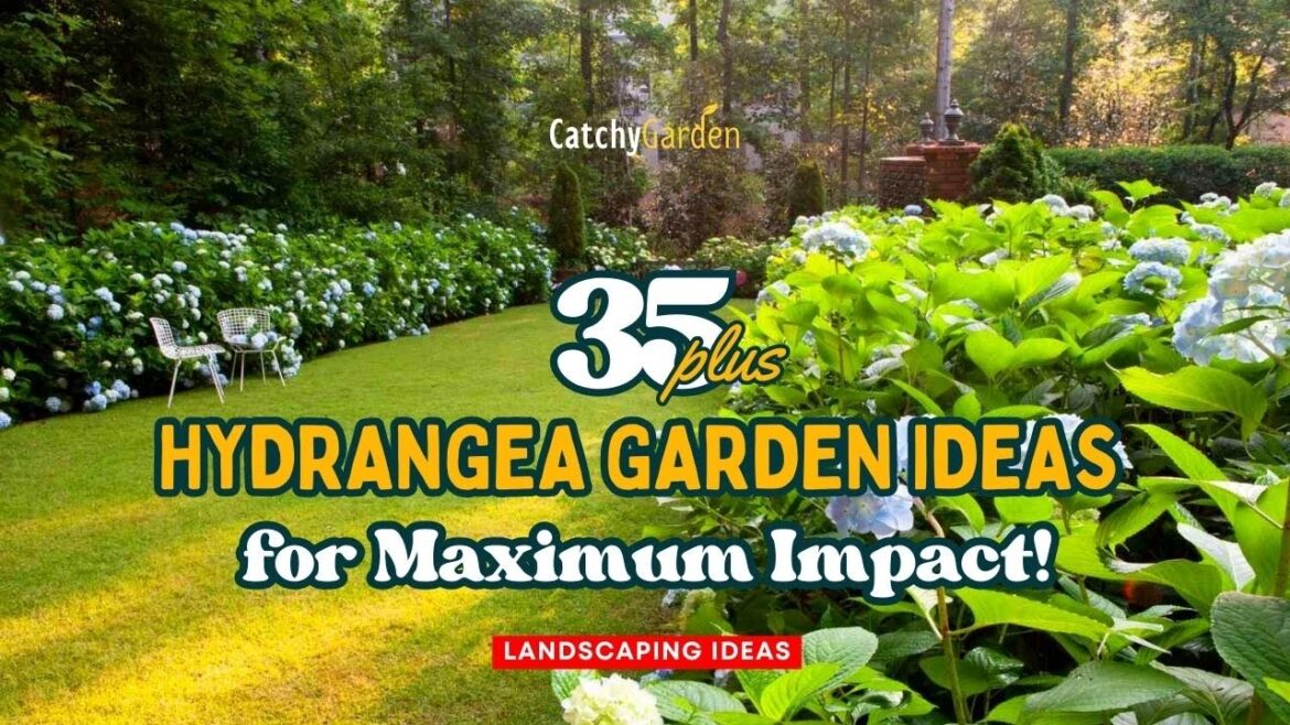 Hydrangea Magic: 35+ Hydrangea Garden Ideas for Maximum Impact! 🌸💐🌺 // Gardening Ideas