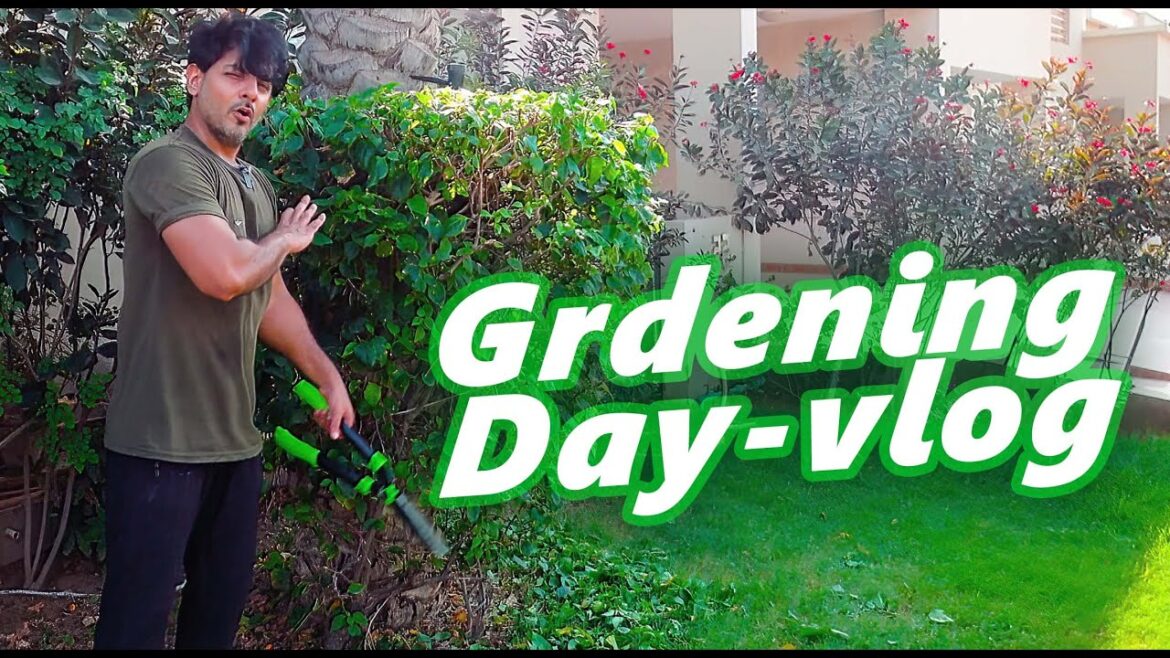Gardening Day | Garden design ideas | Daily vlog Gardening Day | Garden design ideas | Daily vlog