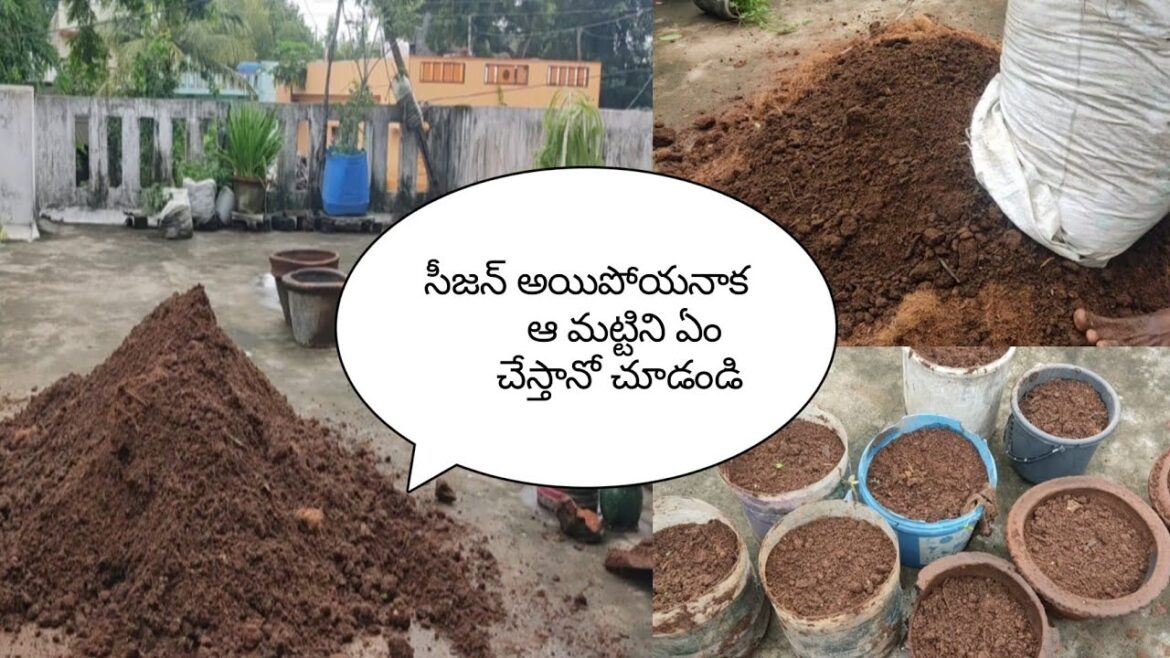 How to use old soil for vegetable gardening/పాత మట్టి మళ్ళీ ఇలా/reusing old soil Telugu