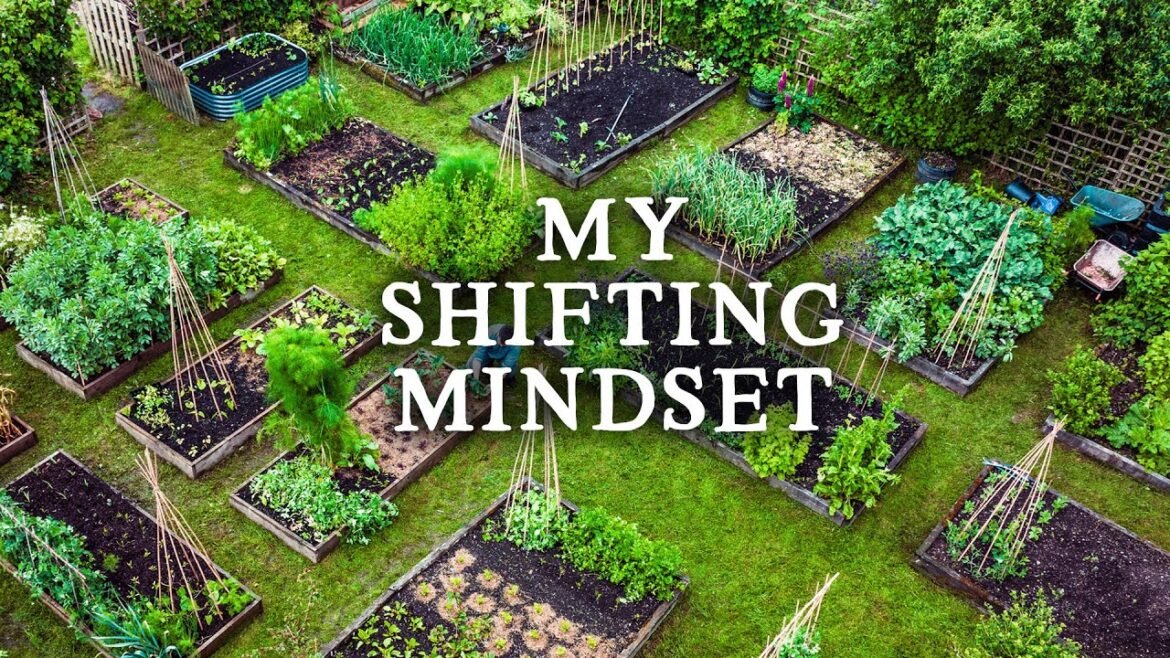 Huw Richards: The Danger of No Dig | A Personal Story The Danger of No Dig | A Personal Story