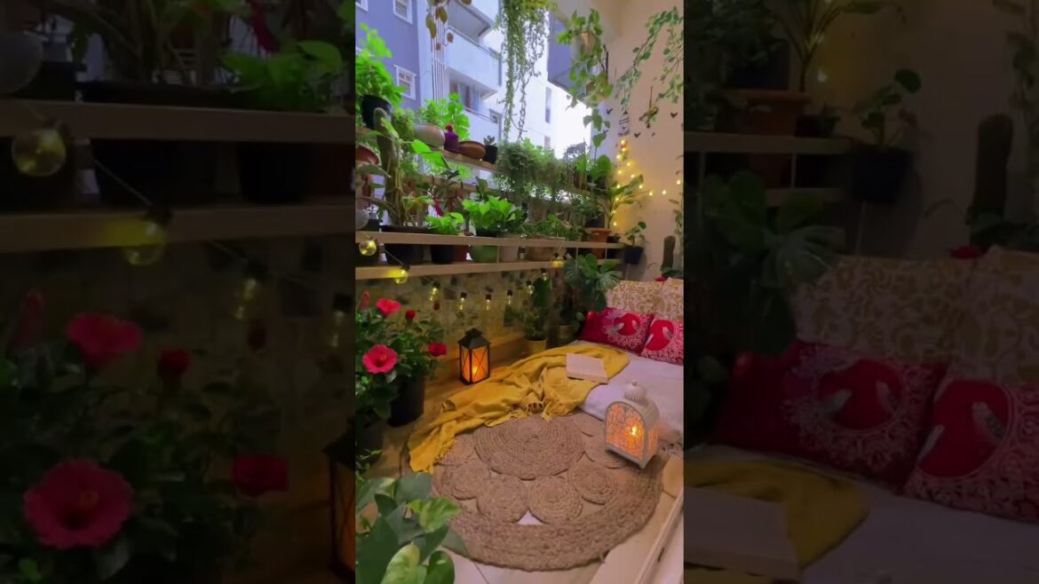 Balcony Design || Garden Design || Terrace Garden || Plants Nursery || Landscape Maintanance