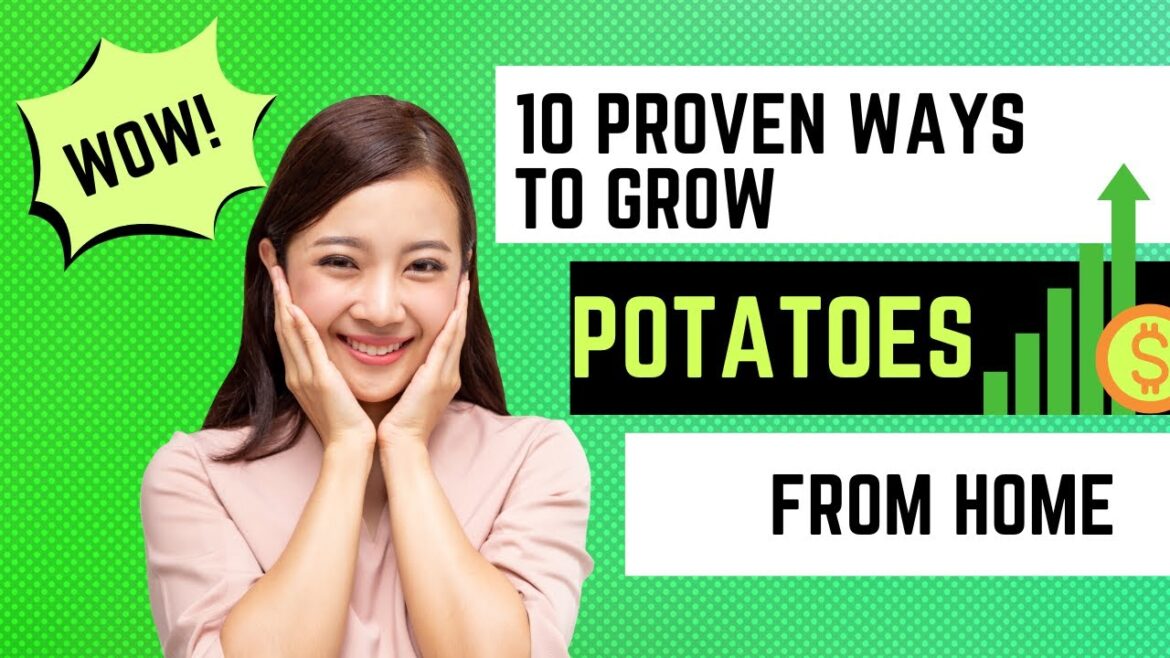 7 Steps to grow your own Potatoes! #healthylifestyle #moneysavingtips #farmer