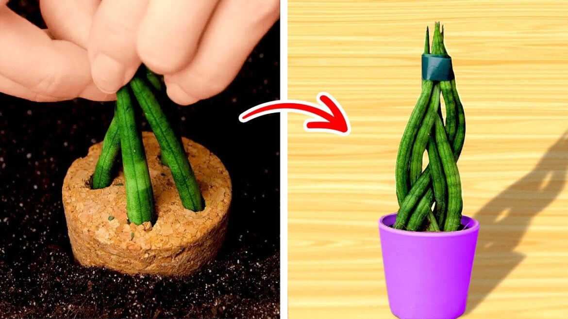 DIY Gardening: Top Tips for a Lush and Healthy Garden