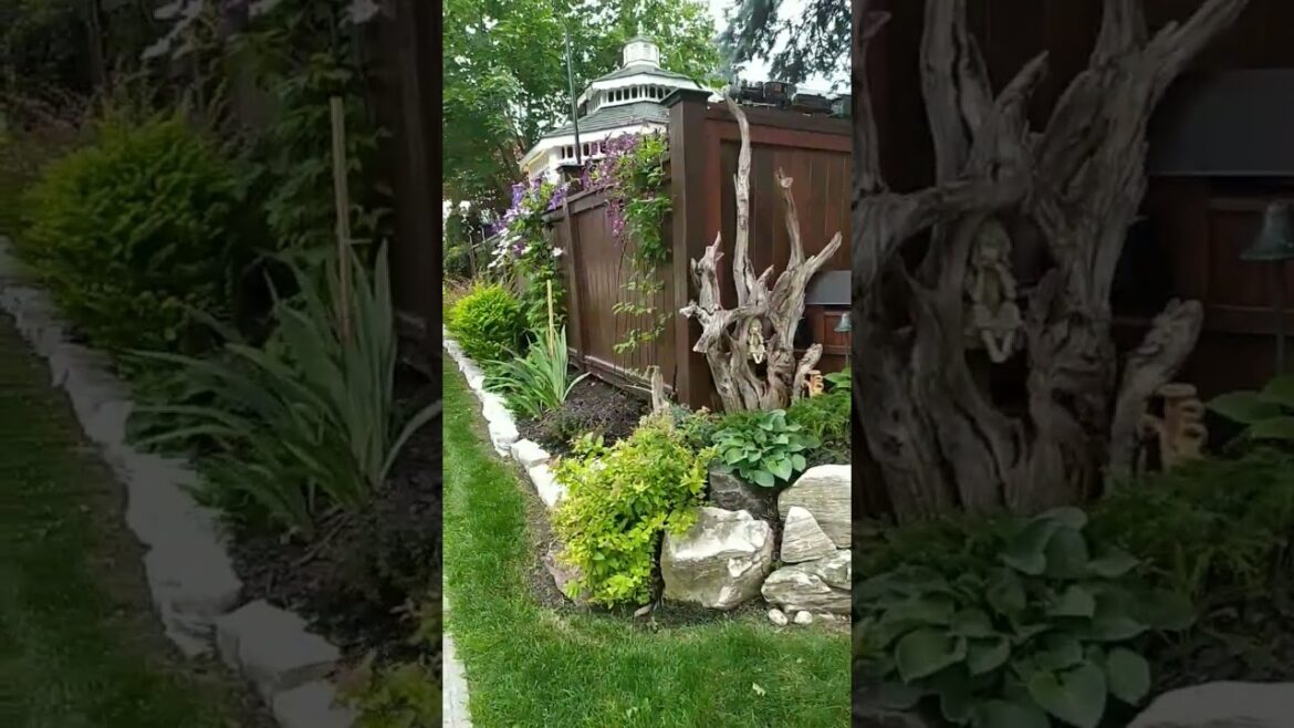 beautiful front yard garden in our neighborhood 😁