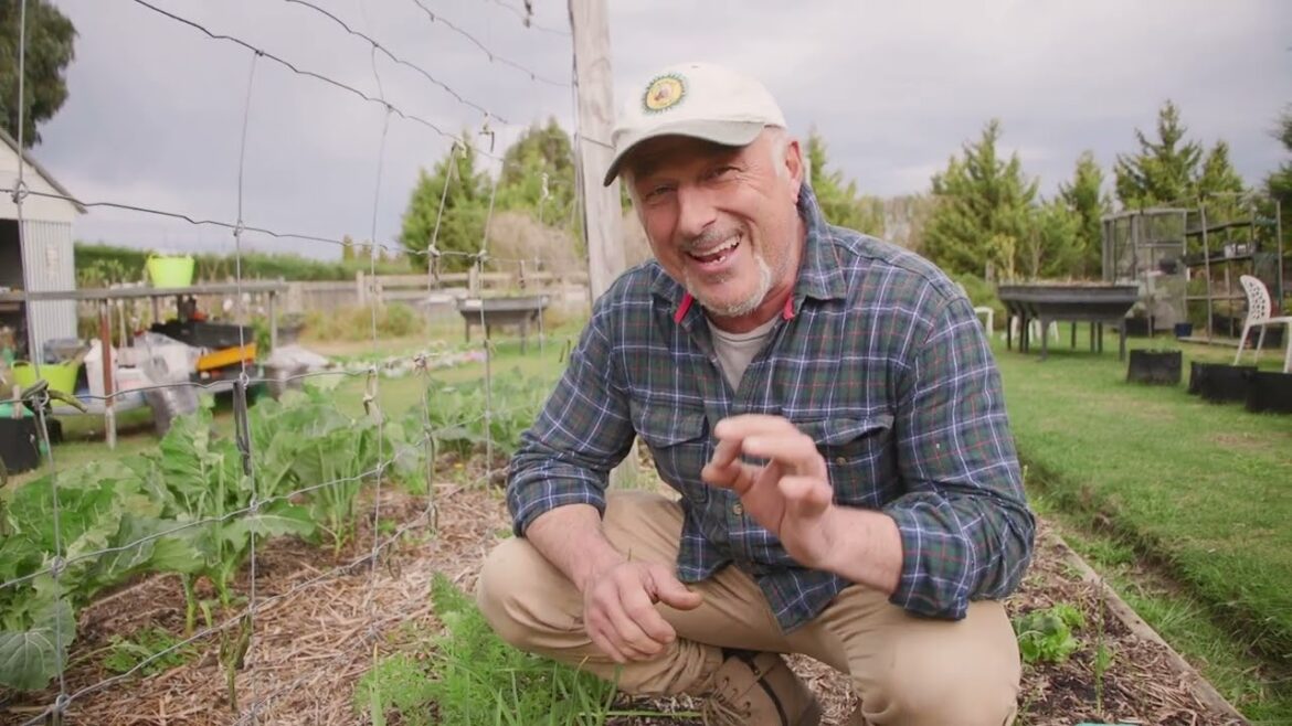 Say Goodbye To Aphids On Garlic - Natural Control Method