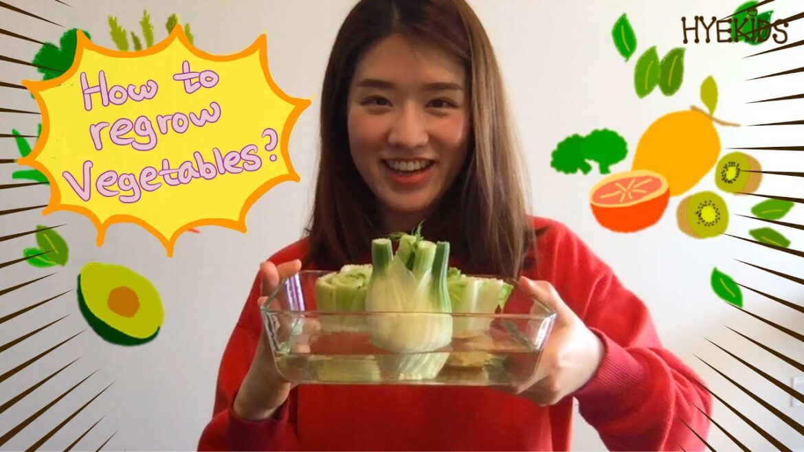 Regrow Vegetables from Scraps in Water | Making edible kitchen mini garden | kid's science project