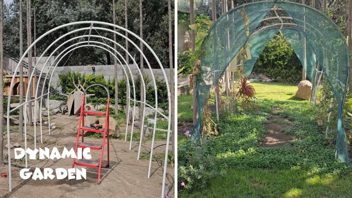 Garden design ideas for climbing plants DIY DYNAMIC GARDEN Garden design ideas for climbing plants _ DIY _ DYNAMIC GARDEN