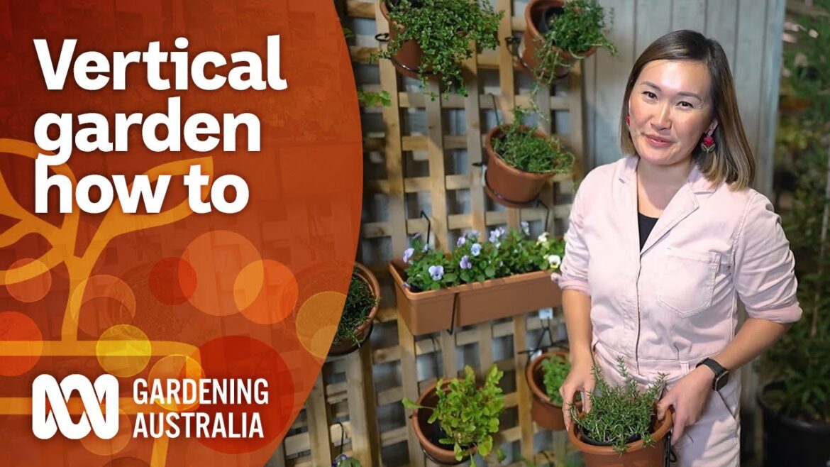 How to create a vertical wall garden to maximise space | Garden Design | Gardening Australia How to create a vertical wall garden to maximise space | Garden Design | Gardening Australia