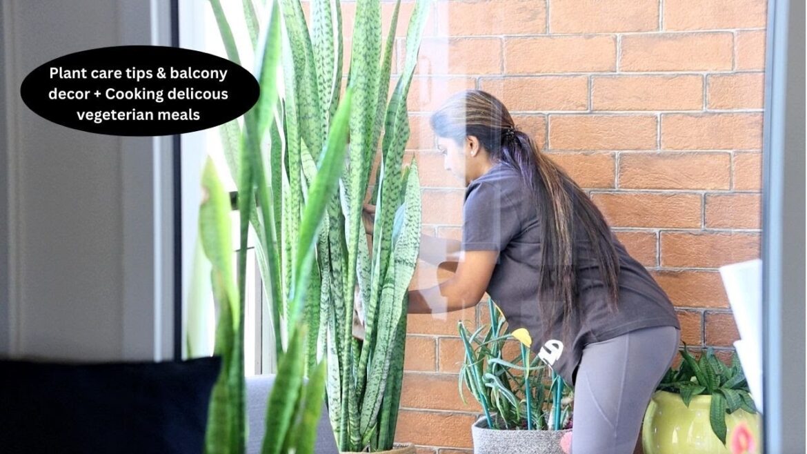 Daily life vlog | Plant care tips, Gardening + Balcony decor | Cooking delicious vegetarian meals