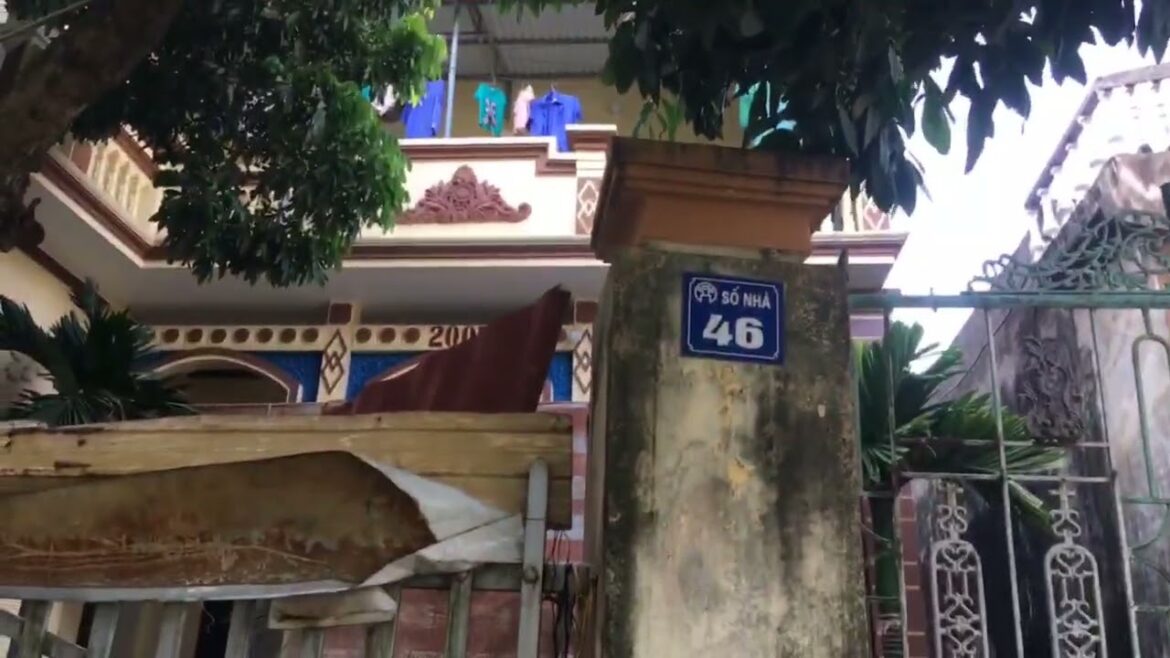 Secrets to Successful Organic Gardening at Home