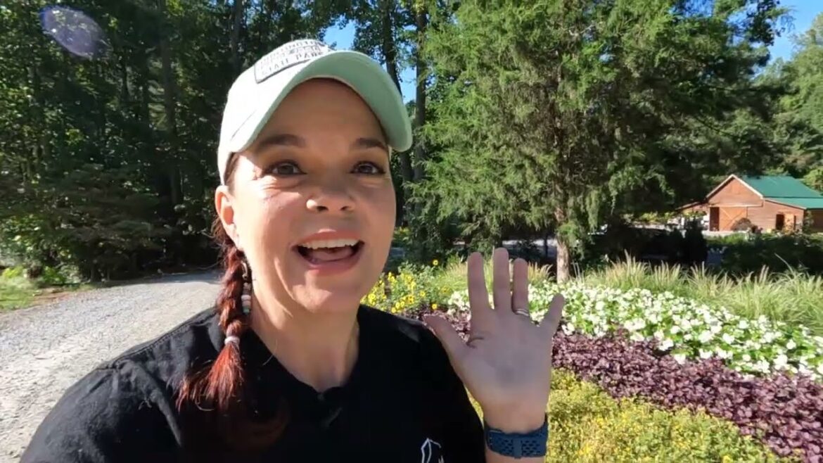 High-Performing Late Summer Plants | Gardening with Creekside High-Performing Late Summer Plants | Gardening with Creekside