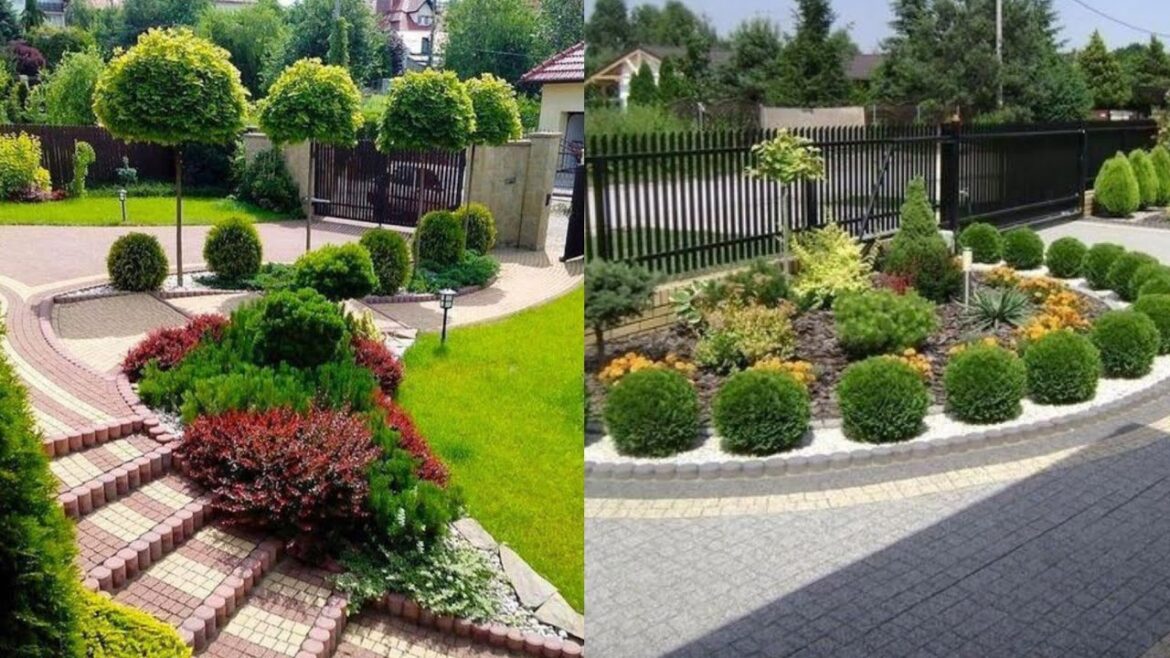 40 different Ideas For Garden Landscaping| Backyard Garden landscaping Ideas 2023 40 different Ideas For Garden Landscaping| Backyard Garden landscaping Ideas 2023