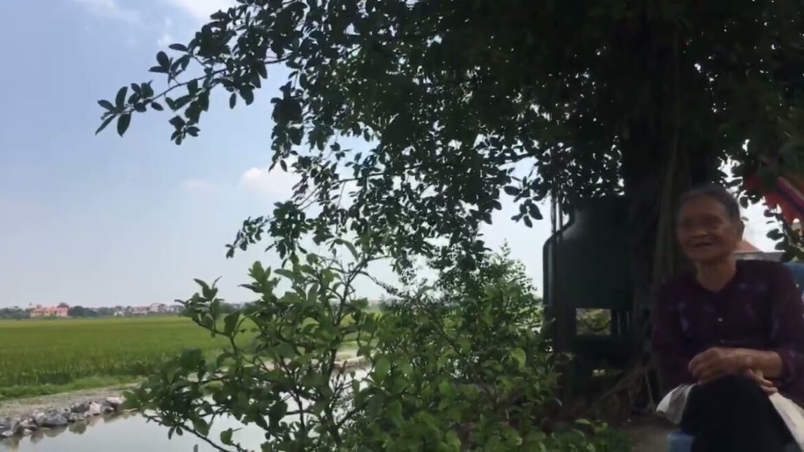 Sunny Day Gardening Tips: Growing Happiness