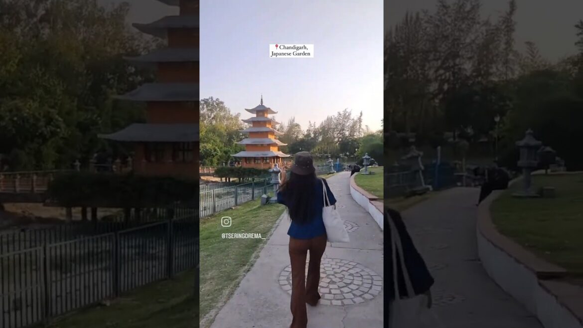 Chandigarh Japanese Garden | Evening Walk With Friends