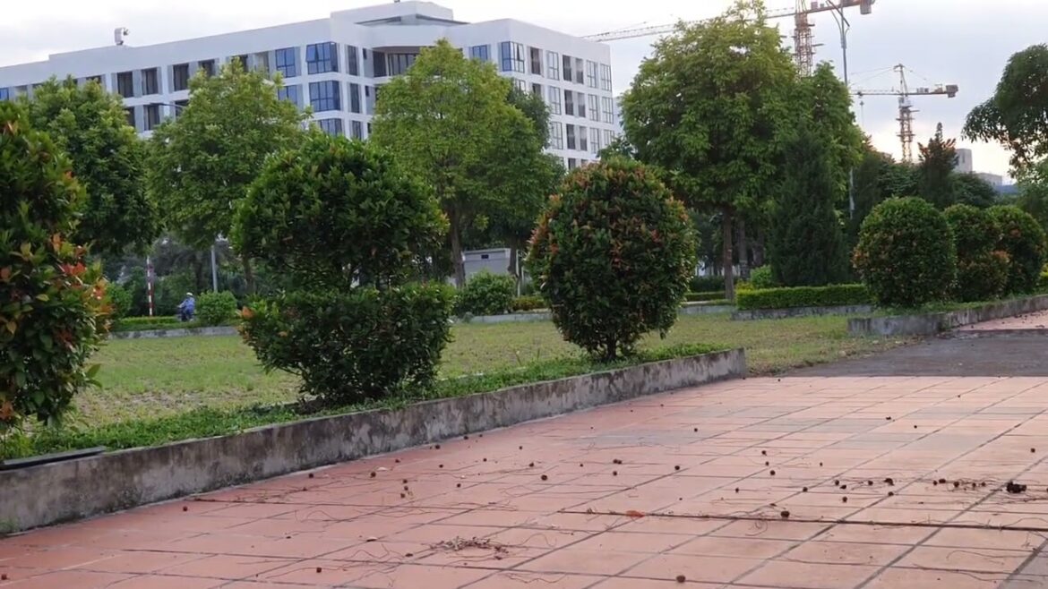 The Art of Gardening: Transforming Spaces with Grass and Plants