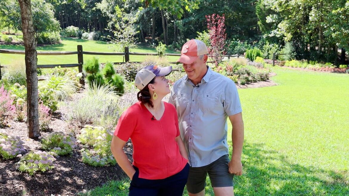 5 Projects Update with Jerry | Gardening with Creekside 5 Projects Update with Jerry | Gardening with Creekside
