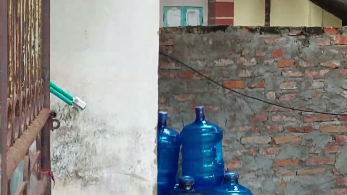 Secrets of Successful Home Gardening Revealed