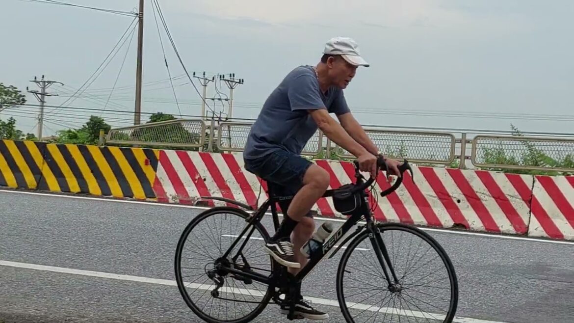 Home Gardening Tips and Tricks: Greening Your Space