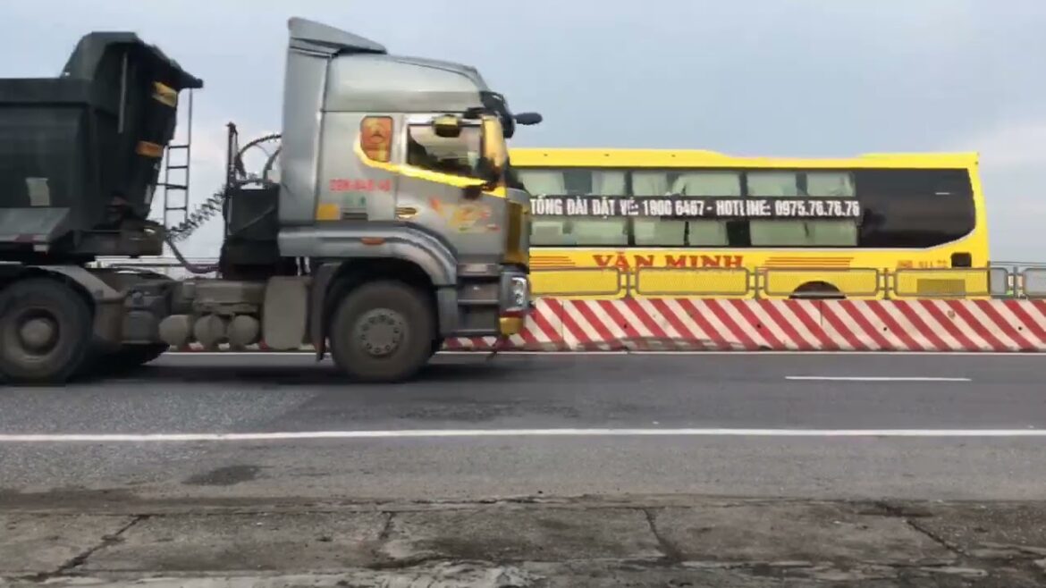 The Joy of Gardening: Cultivating Happiness at Home