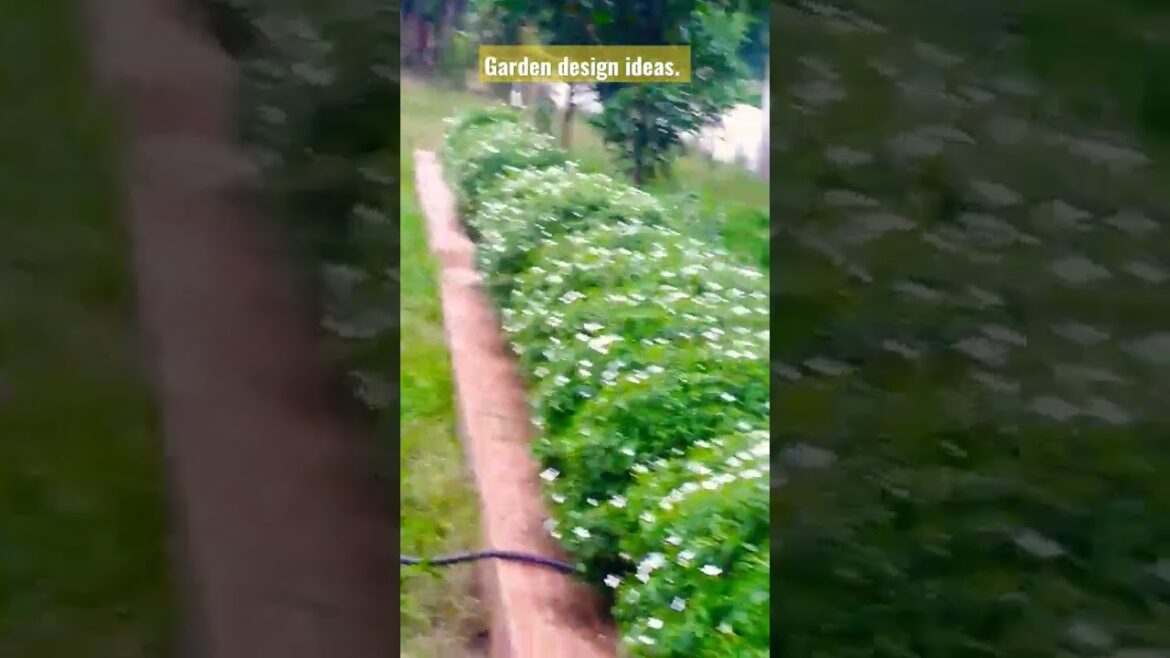 Garden design ideas. Garden planning. Decoration ideas. #viral #video #shorts #short #garden