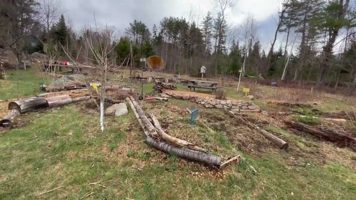Cultivating Ramps in the Forest Garden: Edible Landscapes & Community-Scale Agroforestry Cultivating Ramps in the Forest Garden: Edible Landscapes & Community-Scale Agroforestry