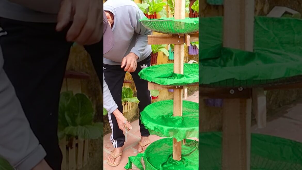 Brilliant Idea, Recycling fan cages into vertical vegetable tower at Home