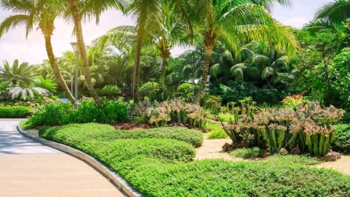 Tropical Garden Design Ideas Uk