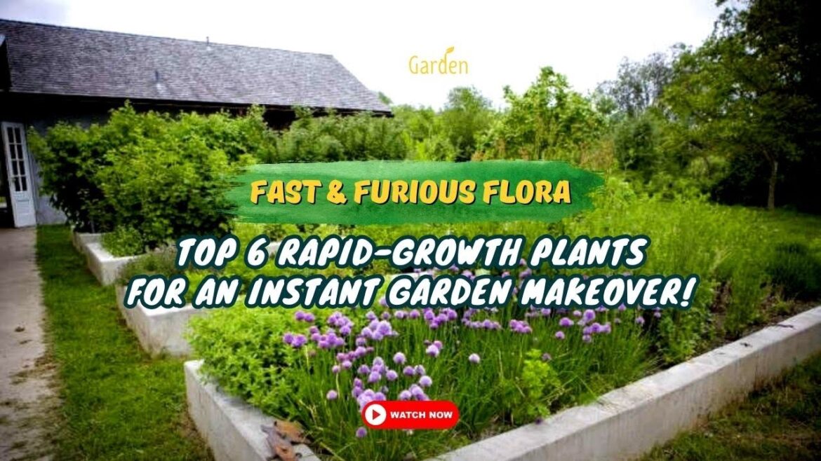 Fast & Furious Flora: Top 6 Rapid Growth Plants for an Instant Garden Makeover! πΊπ±πΈ Fast & Furious Flora: Top 6 Rapid Growth Plants for an Instant Garden Makeover! πΊπ±πΈ
