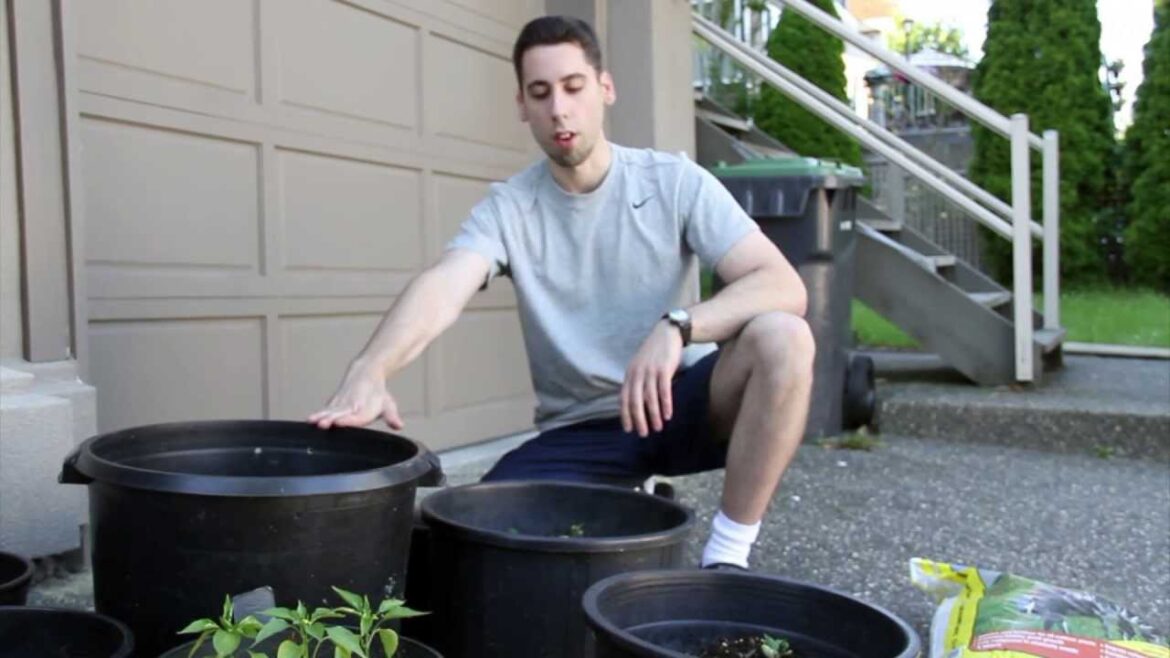 How to Make a Container GARDEN – Vegetables & Herbs How to Make a Container GARDEN - Vegetables & Herbs