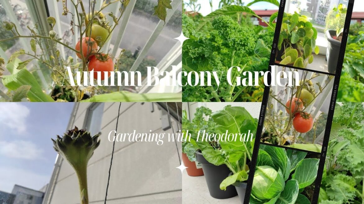 small balcony gardening- Autumn| Urban gardening| Gardening Fails| surprises | container garden