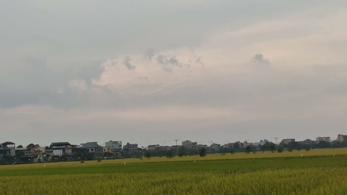 Small Space Gardening: Maximizing Your Urban Oasis