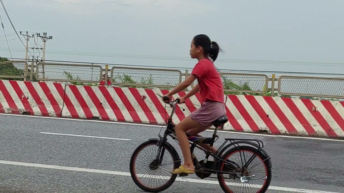 Organic Gardening 101: Cultivating Health at Home